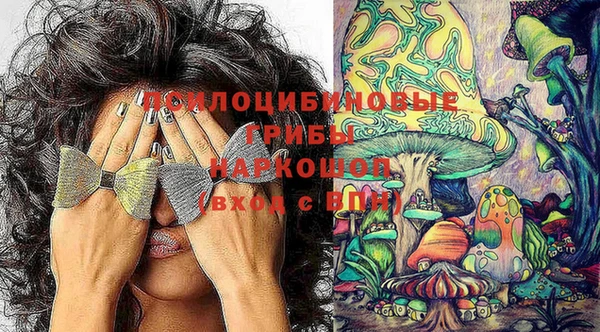 дживик Зерноград