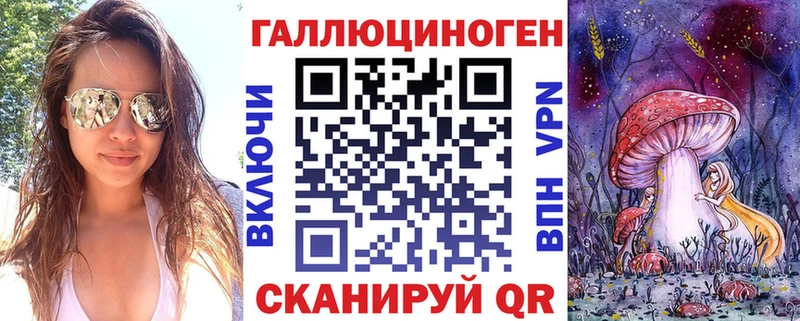 купить   Озёры  Галлюциногенные грибы Psilocybe 